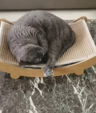 Katten Krabplank – Multifunctioneel Krabbord en Slaapbed voor Katten