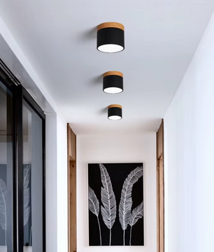 Lumiere Plafondspots – Kleurrijke Moderne LED Plafondlamp