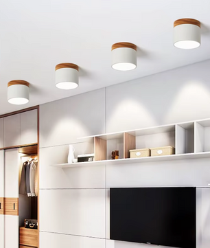 Lumiere Plafondspots – Kleurrijke Moderne LED Plafondlamp