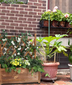 Groot Verhoogde Plantenbak met Latwerk – Grenenhout