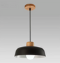 Skandi Moderne Scandinavische Hanglamp van Hout & Metaal