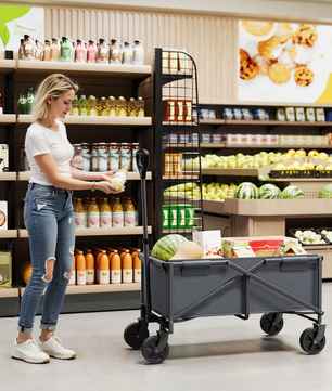 Opvouwbare Bolderkar met Remmen – 80 kg Draagvermogen