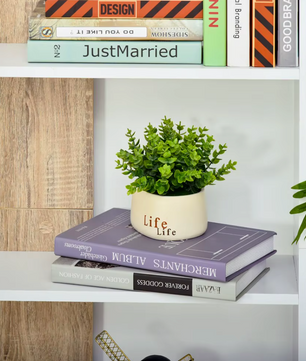 Boekenkast met 5 Planken – Verhoogde Basis – Wit en Eikenlook