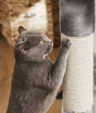 Coco Krabpaal / Kattenboom – 120 cm Hoog met 2 Knuffelgrotten, Pluche Uitkijkplatform en Kantelbeveiliging
