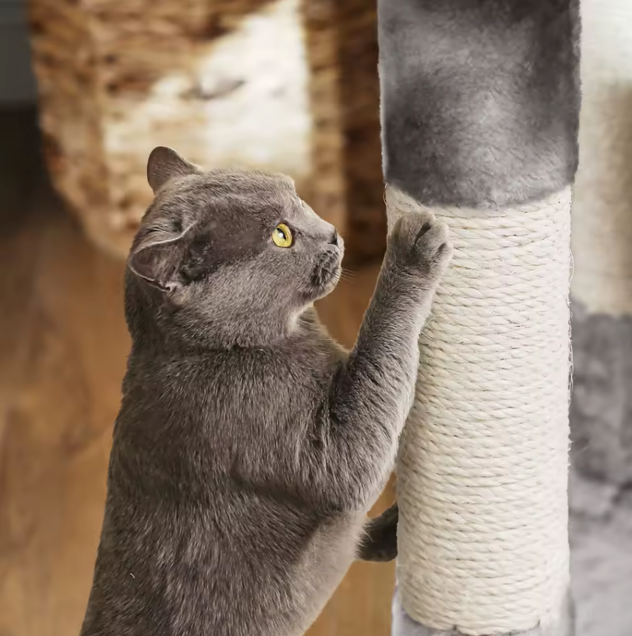 Coco Krabpaal / Kattenboom – 120 cm Hoog met 2 Knuffelgrotten, Pluche Uitkijkplatform en Kantelbeveiliging