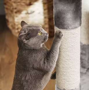 Coco Krabpaal / Kattenboom – 120 cm Hoog met 2 Knuffelgrotten, Pluche Uitkijkplatform en Kantelbeveiliging