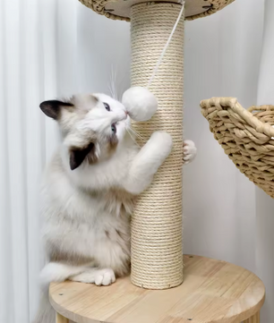 Premium Design 3-laags Krabpaal – Katten Toren met Gewatteerde Pluche Zitstokken, Sisal Krabpalen en Speelballen