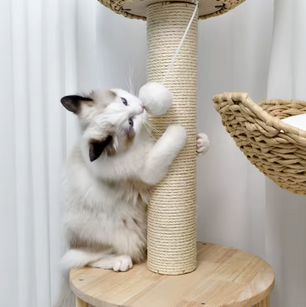 Premium Design 3-laags Krabpaal – Katten Toren met Gewatteerde Pluche Zitstokken, Sisal Krabpalen en Speelballen