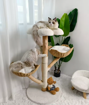 Premium Design Kattenboom van Natuurlijk Hout - Krabmeubel met Wasbare Kussens