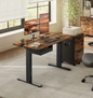 Elektrisch Zit-Sta Bureau 120 cm – Met Geheugen & USB