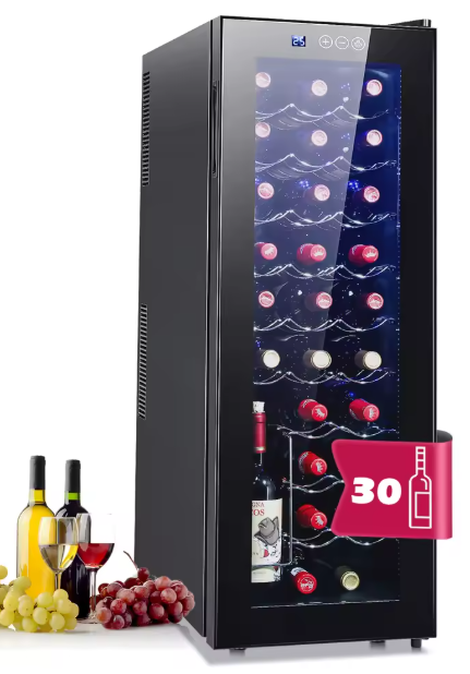Wijnkoelkast 30 Flessen – 78L, Stijlvol Design, Stil & Instelbaar