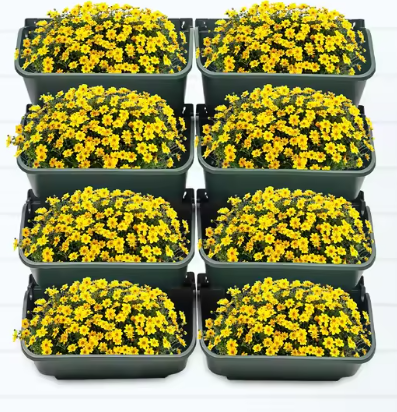 Set van 8 Verticale Wandplantenbakken – Groen, Met Afvoergaten & Stapelbaar voor Binnen en Buiten
