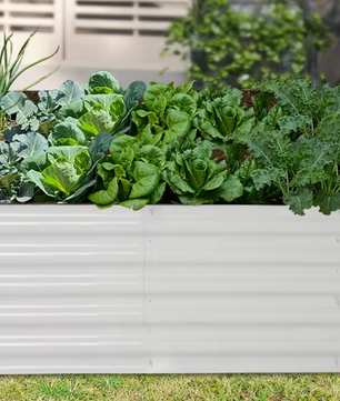 Grote Rechthoekige Plantenbak 240x60x43 cm – Verhoogd Tuinbed van Wit Aluminium-Verzinkt Staal