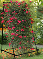 Metalen Tuinklimrek met Nylon Net – A-Frame Groente- en Plantensteun, 105×105×176 cm