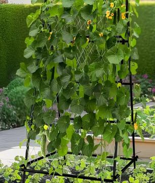 Metalen Tuinklimrek met Nylon Net – A-Frame Groente- en Plantensteun, 105×105×176 cm