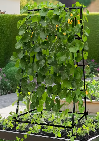 Metalen Tuinklimrek met Nylon Net – A-Frame Groente- en Plantensteun, 105×105×176 cm