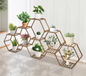 Zeshoekige Houten Plantenstandaard – 11-Laags Displayrek voor Binnen & Buiten, 231x25x97 cm