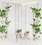 Metalen Tuinpergola met Luifel – 180×180×270 cm, Herbruikbare Bruiloftsboog met Waterdichte Overkapping