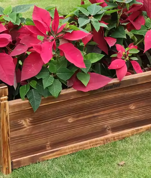 Verhoogde Houten Tuinbak voor Bloemen en Groenten – Massief Grenenhout, Op het Raam Gemonteerde Planter