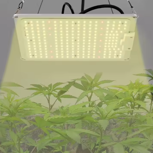 LED Groeilamp voor Kamerplanten – Dimbare Volledig Spectrum LED Plantengroeilamp met 5 Koppen, Lange Levensduur, Lage Geluidsproductie, Perfect voor Kruiden, Bloemen en Groenten