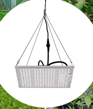 LED Groeilamp voor Kamerplanten – Dimbare Volledig Spectrum LED Plantengroeilamp met 5 Koppen, Lange Levensduur, Lage Geluidsproductie, Perfect voor Kruiden, Bloemen en Groenten