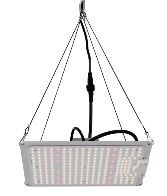 LED Groeilamp voor Kamerplanten – Dimbare Volledig Spectrum LED Plantengroeilamp met 5 Koppen, Lange Levensduur, Lage Geluidsproductie, Perfect voor Kruiden, Bloemen en Groenten