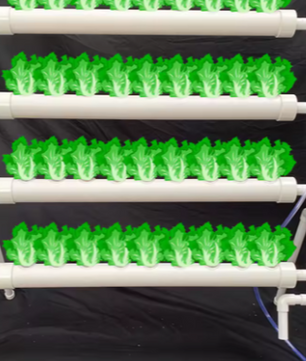 Hydrocultuur Kweekset – 36 Gaten, 4 Buizen, Grondloze Teelt met Automatisch Irrigatiesysteem, PVC Waterpomp voor Groenten en Bloemen