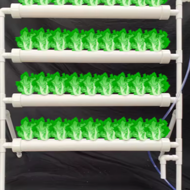 Hydrocultuur Kweekset – 36 Gaten, 4 Buizen, Grondloze Teelt met Automatisch Irrigatiesysteem, PVC Waterpomp voor Groenten en Bloemen