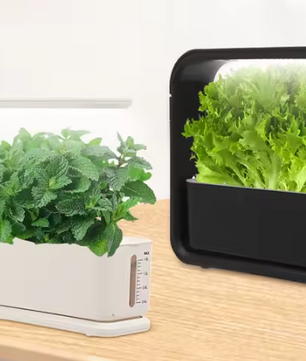 15W Hydrocultuur Kweekset met Grow Light – Verticaal Indoor Plantensysteem voor Kruid- en Groente Teelt