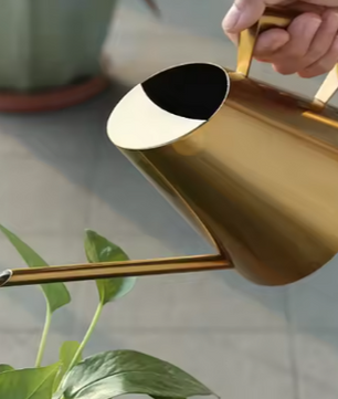 900 ml Roestvrijstalen Gieter met Nauwkeurige Schenktuit – Ideaal voor Kamerplanten, Tuingereedschap en Groene Plantenverzorging