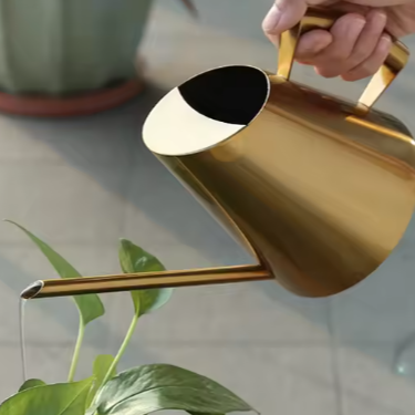 900 ml Roestvrijstalen Gieter met Nauwkeurige Schenktuit – Ideaal voor Kamerplanten, Tuingereedschap en Groene Plantenverzorging