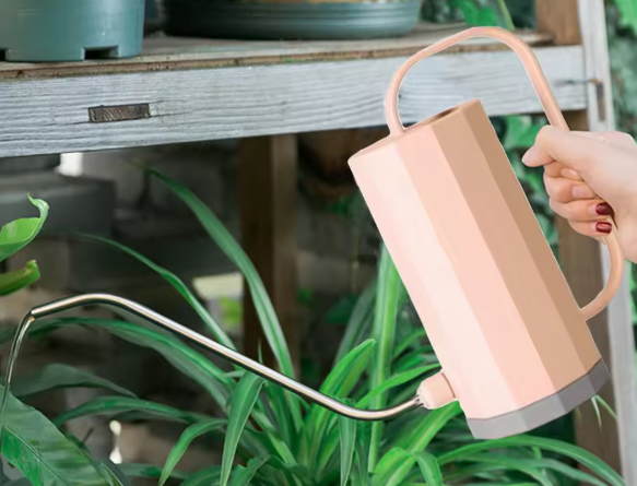 1000 ml Plant Gieter met Gebogen Mond – Multifunctionele Gieter voor Bonsai en Tuinplanten, Verwijderbaar Mondstuk