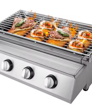 Rookloze Barbecuegrill met 4 Branders – Verstelbare LPG-gasgrill voor Buiten, Draagbaar en Verwijderbaar