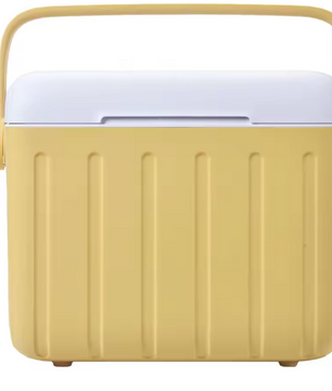Camping Koelbox – 6L Geïsoleerde Harde Koeler met Handvat, Langdurige Warmte- & Koudebehoud, Ideaal voor Outdoor, Picknick & Vissen