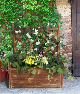 Verhoogde Plantenbak met Trellis – Massief Dennenhout, Vrijstaand voor Klimplanten en Bloemen