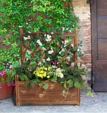 Verhoogde Plantenbak met Trellis – Massief Dennenhout, Vrijstaand voor Klimplanten en Bloemen