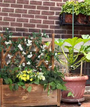 Verhoogd Houten Tuinbed met Latwerk – Plantenbak met Klimondersteuning voor Buiten en Binnen
