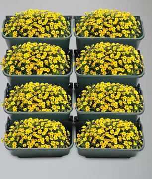 Set van 8 Wandgemonteerde Plantenbakken – Creëer een Verticale Tuin voor Binnen & Buiten