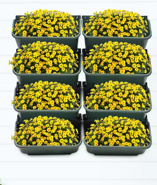 Set van 8 Wandgemonteerde Plantenbakken – Verticale Tuin voor Binnen & Buiten, met Afvoergaten