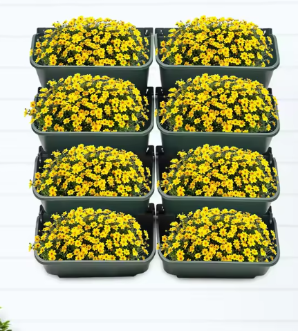 Set van 8 Wandgemonteerde Plantenbakken – Verticale Tuin voor Binnen & Buiten, met Afvoergaten