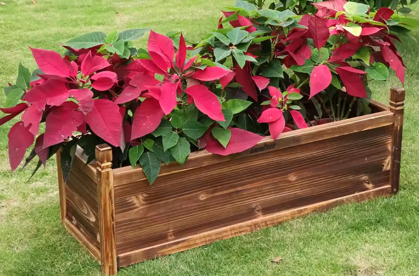 Verhoogde Houten Plantenbak – Massief Grenen, Duurzaam & Decoratief