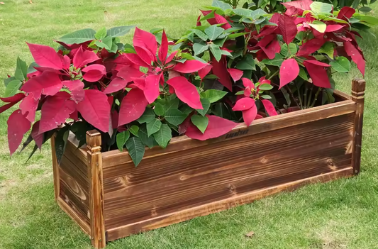 Verhoogde Houten Plantenbak – Massief Grenen, Duurzaam & Decoratief