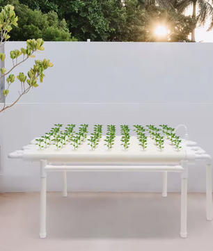 Hydrocultuur Kweekset voor Tuinplanten – 54 Plantplaatsen, 6 Pijpen, PVC-U, Grondloze Teelt voor Groenten en Bloemen