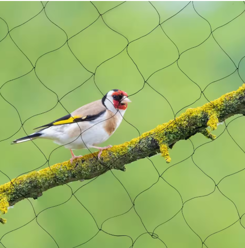 30m x 15m Vogelnet – Sterk en Herbruikbaar Net voor Tuin, Vijver, Fruitbomen en Gewassen