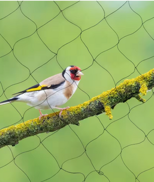 30m x 15m Vogelnet – Sterk en Herbruikbaar Net voor Tuin, Vijver, Fruitbomen en Gewassen