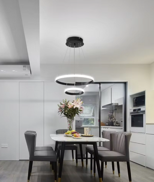 2-Ring Zwarte Hanglamp – Moderne LED Plafondlamp met Dubbele Ring