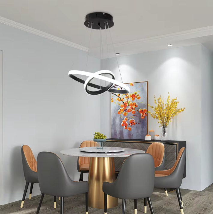 2-Ring Zwarte Hanglamp – Moderne LED Plafondlamp met Dubbele Ring