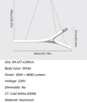 2-Ring Zwarte Hanglamp – Moderne LED Plafondlamp met Dubbele Ring