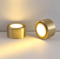 Koperen LED Plafondlamp – Moderne Opbouwspot Verstelbaar voor Gang & Woonkamer