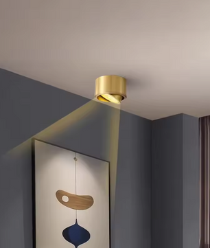 Koperen LED Plafondlamp – Moderne Opbouwspot Verstelbaar voor Gang & Woonkamer